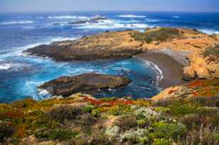 Point Lobos-0090.jpg